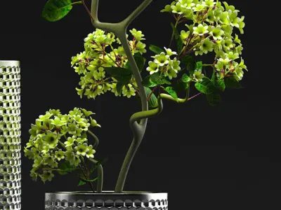 Flower Vase Set 3D model