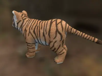 Tiger cub Low-poly 3D model