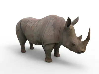 Rhino 3D Models game ready  Low-poly 3D model