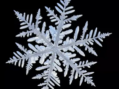 snow flake  3D model