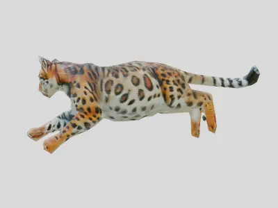 Leaping Bengal Cat Animation Model Low-poly 3D model