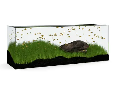 Rectangular Aquarium 3D model