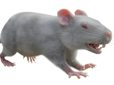 RET FOR VFX CGI 3D model