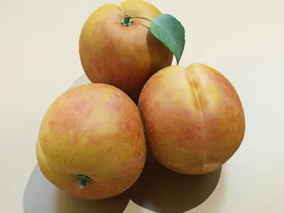Photorealistic Peach High Resolution 3D model