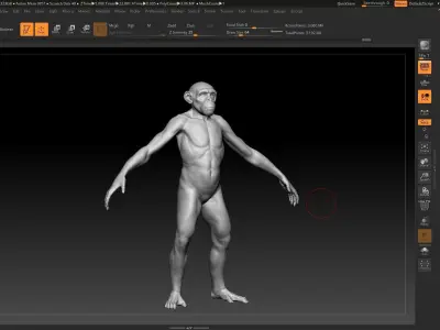 male monkey 3D model