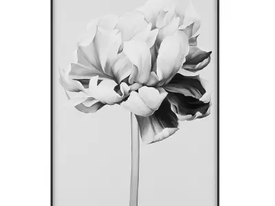 Art456 Low-poly 3D model
