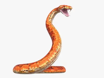 Snake rigged 3D model