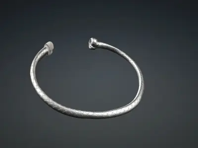 Hmong xauv txiv neej 3D model