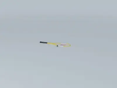 Wilson Squash Racquet Free 3D model