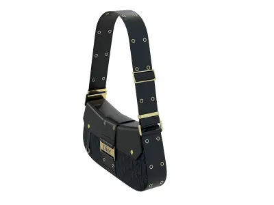 Dior Street Chic Bag Black Print 3D model