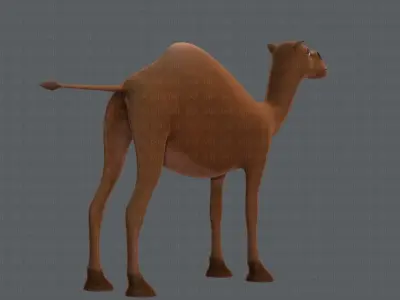 Camel V01 Low-poly 3D model