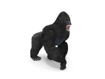 Gorilla Low-poly 3D model