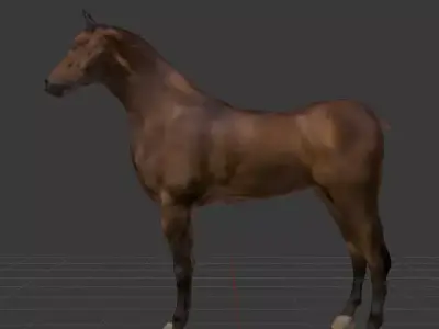 Horse Textured 3d Model 3D model
