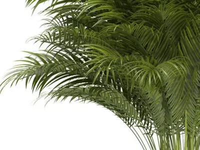 Plant 67 3D model
