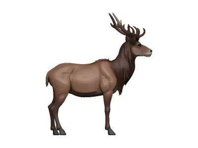 Markhor Low-poly 3D model