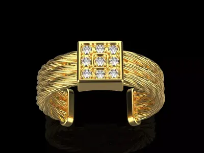 Rope braided ring model 487 3D print model