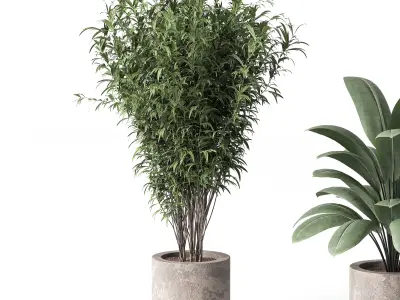 Indoor Plant Set 02 3D model get