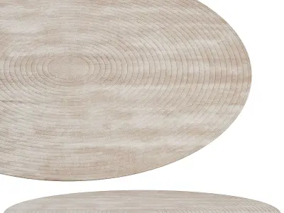 Round Rug 3D model