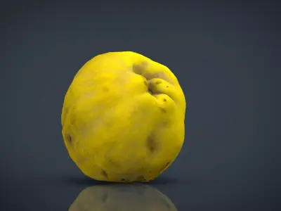 Grapefruit potato Low-poly 3D model