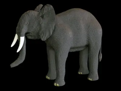  Elephant African PBR texture 3D model