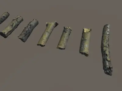 Scanned Branches Low-poly 3D model