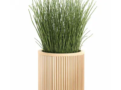 Decorative plants in a bamboo flowerpots 799 3D model