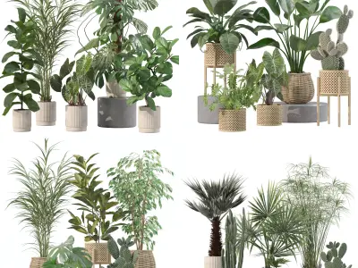 20 Photorealistic Flowers for Interiors - set 202 206 210 218 3D Model Collection