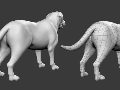 Labrador Dog 3D model