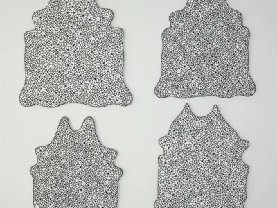 Rugs by ZARA HOME 3 3D model