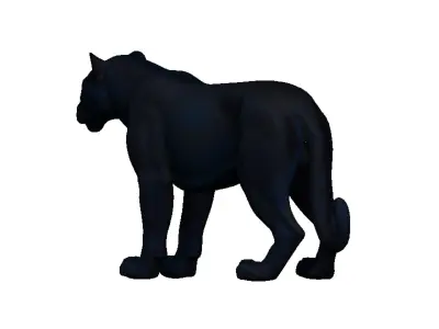 Black Leoapard Low-poly 3D model
