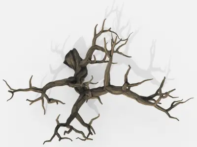 Aquarium Snag V22 3D model