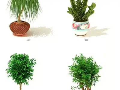 indoor plant models 3D model