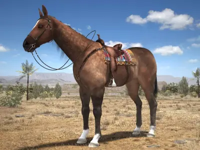 Cowboy Horse with saddle 3D model