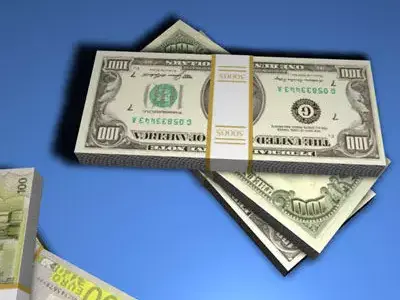 Banknotes stack of dollar bills 3D model