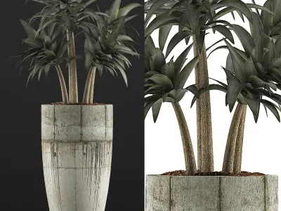 Plants Collection 94 3D model