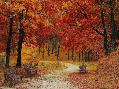 park bench Free low-poly 3D model