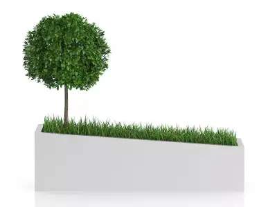 3D Plants IV CGAxis Models Volume 60 3D model