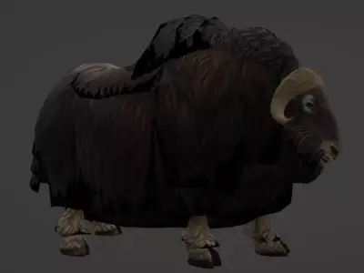 Musk Ox 3D Model Ultra Realistic Arctic Animal Low-poly 3D model