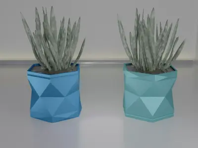 pot plant succulent 16 3D print model