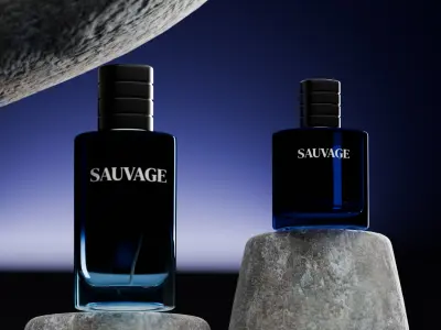 3D Sauvage Perfume Bottle 3D model