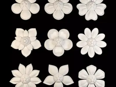 Ornament Flowers Pack 02 3D model