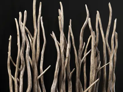 Planter wall branch crooked old n2 3D model