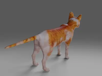 Calico Cat NO Rigged  V2 in Blender Low-poly 3D model