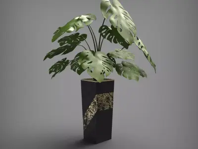 Monstera Deliciosa 2 Black Vase 3D model