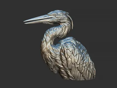 Grey Heron bust  3D print model