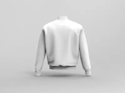 Mens Sport Jacket - Marvelous Designer 3D model