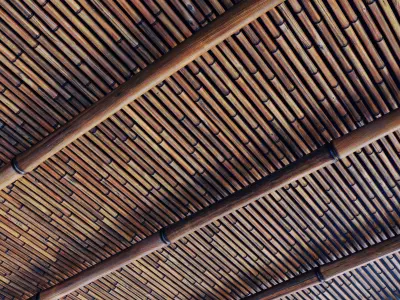 Branch bamboo long low n4 3D model