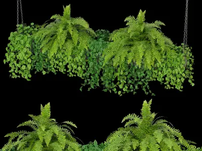 Indoor Hanging Plants - Set 05 and Set 06 3D model