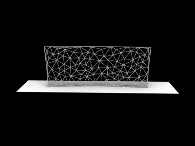 Triangulated Wall random points v5 3D model
