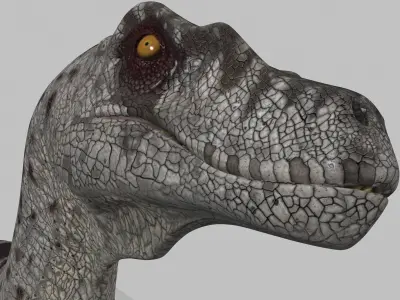 Female Alpha Raptor - 8K - Animated 3D model